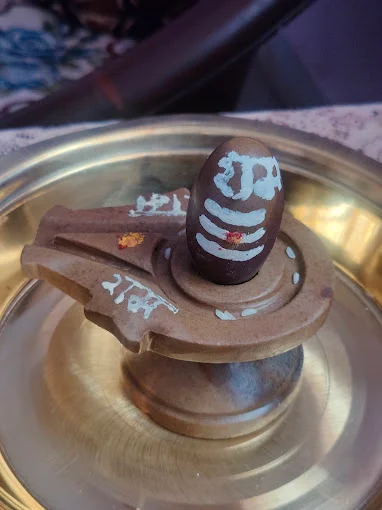 yellow color narmadeshwar shivling