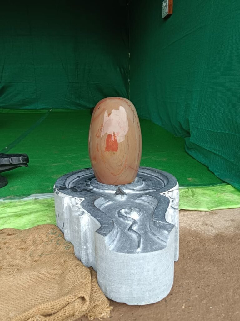 tilak dhari narmadeshwar shivling