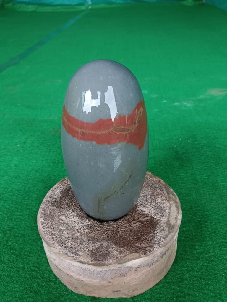 tilak dhari narmadeshwar shivling