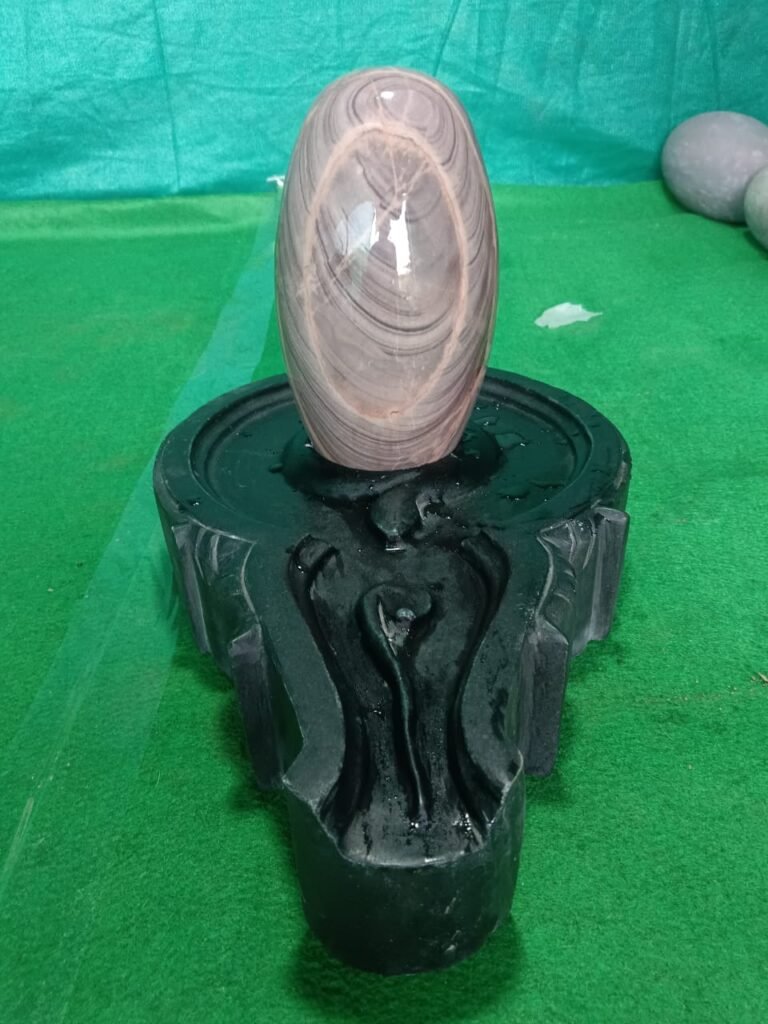 janue dhari narmadeshwar