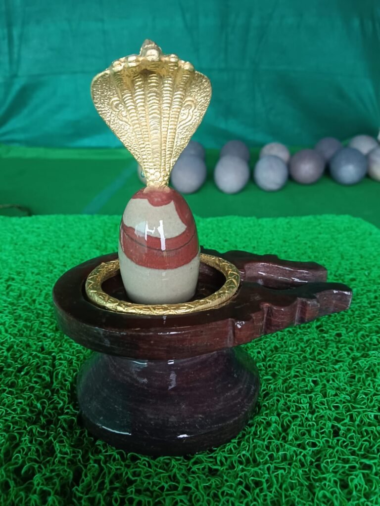 tilak dhari narmadeshwar shivling