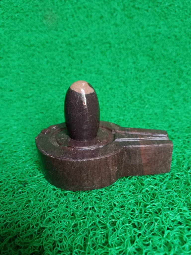 tilak dhari narmadeshwar shivling